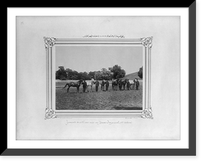 Four, five and six year old mares of the first section of the Imperial Stud Farm.Constantinople, Abdullah Fr&egrave;res, Antique Poster