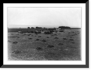 Historic Framed Print, [Harvesting alfalfa, Kern County, Calif.] - 2,  17-7/8" x 21-7/8"