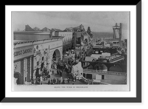 Historic Framed Print, [Bird's-eye views of Coney Island, N.Y.] - 2,  17-7/8" x 21-7/8"