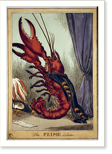 Vintage Photo Print - The prime lobster - Antique Wall Decor Print (2)