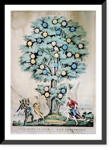 Historic Framed Print, The tree of life. the Christian - 2,  17-7/8" x 21-7/8"