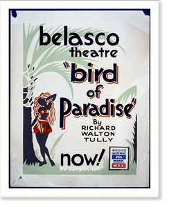 Vintage Americana Print - Bird of paradise by Richard Walton Tully