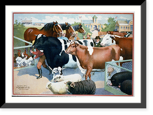 Men with cattle, horses, sheep, pigs and chickens at country fair - 2 Classic, Vintage Wall Art