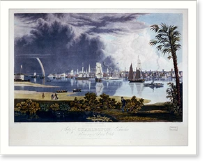 Historic Landscape - Charleston - City of South Carolina (1)