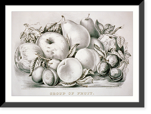 Group of fruit, Vintage Poster