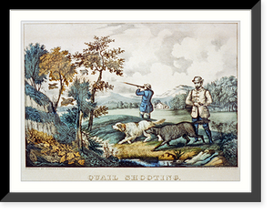 Historic Framed Print, Quail shooting,  17-7/8" x 21-7/8"