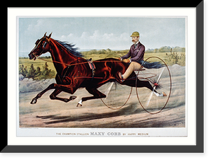 Historic Framed Print, The champion Stallion Maxy Cobb by Happy Medium,  17-7/8" x 21-7/8"