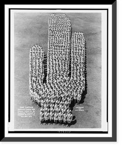 The Cactus, regimental insignia of the 35th Infantry, formed by the regimental personnel in Schofield Barracks, T.H. June 25th, 1933, Vintage Wall Art
