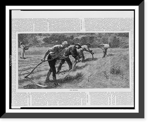 The Mowers.Roberts sc. ; P.I. Morris. Classic, Historic Reproduction