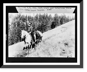 Man on horseback leading pack horse down Government trail, and telephone lines down Davis Creek Canyon, Wallowa National Forest, Oregon Classic, Antique Print