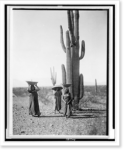 Vintage Photo Print - Saguaro gatherers, Maricopa tribe