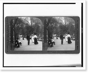 Vintage Photo Print - Boston - Under the elms, Common, U.S.A