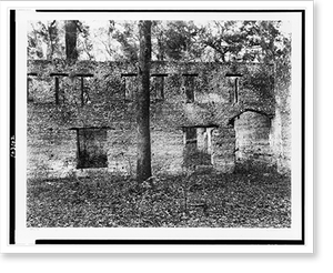 Vintage Americana Print - Ruin of tabby (shell) construction, St