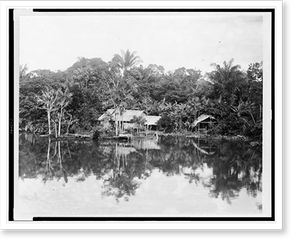 Historic Landscape - Indian hut in clearing on river bank, Brazil