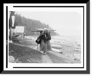 An elderly Makah woman carrying faggots, a bundle of sticks, on her back, at Neah Bay, Washington Classic, Vintage Print