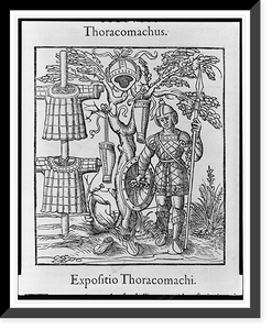 Historic Framed Print, Expositio thoracomachi,  17-7/8" x 21-7/8"