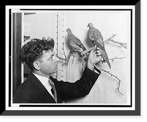 Black & White Photo - Chicago - Earl Wright, of the Academy