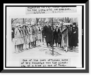 Mrs. Coolidge planting a tree in one of Washington's playgrounds, as Girl Scouts and others watch, Historic Reproduction