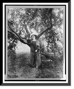 Lillian Nordica, full-length portrait, standing under fruit tree, facing left, Antique Wall Art