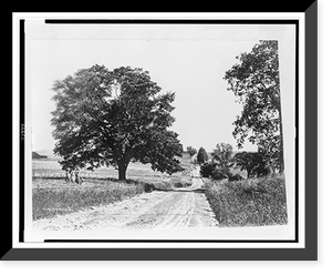 So. Main Street, Fairport, N.Y..C.R. Cramer. Classic, Antique Print
