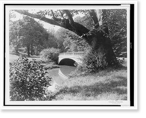 Historic Landscape - Bridge #5, Cherokee Park, Louisville, Kentucky