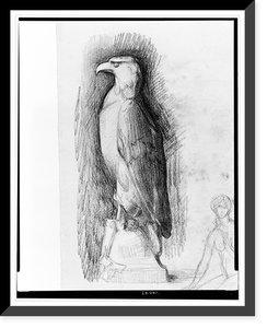 Vintage Photo Print - Design drawings for national symbols