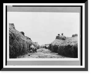 Rice ready for the steam thresher, San Miguel, Tarlac Province, Philippines Classic, Historic Print