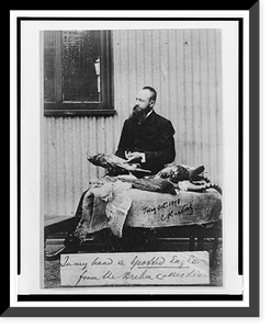 Ernst Hartert seated at table with bird specimens, Antique Poster