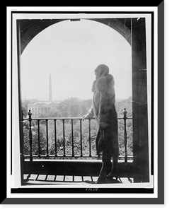 Historic Framed Print, View from Hay Adams House looking toward White House,  17-7/8" x 21-7/8"
