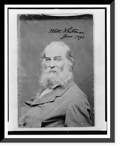 Historic Framed Print, [Walt Whitman as an old man, half-length portrait, seated to the left, facing front],  17-7/8" x 21-7/8"