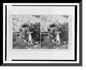 Historic Framed Print, Conservatory,  17-7/8" x 21-7/8"