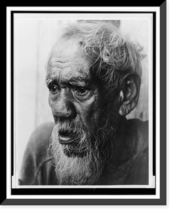 Historic Framed Print, [Head-and-shoulders portrait of an elderly, African American man],  17-7/8" x 21-7/8"