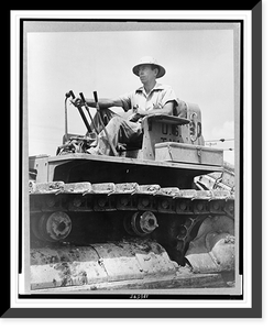 Cherokee Dam, Tenn., 1935-40(?). A worker operating a bulldozer during the construction of the dam, Historic Print