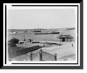 U.S. supply ships, Culgoa and Glacier(?), Sydney Harbour, New South Wales, Australia Classic, Vintage Wall Art