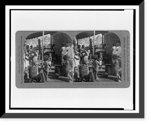 Grinding sugar cane by hand, San Juan, Porto Rico, Historic Print