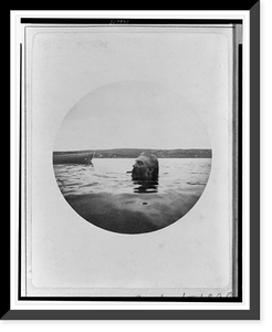 Alexander Graham Bell swimming, his head above water, with cigar in his mouth, Vintage Wall Art