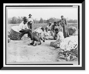 African Americans resting and shooting dice at edge of cotton field Classic, Antique Print