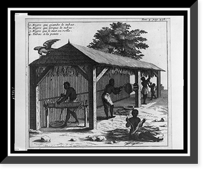 Four people working with harvested tobacco in shed, Antique Print