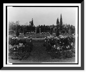 A.C. James home, Suprise Valley", the Blue Garden with lily pond in the center, Newport, Rhode Island" - 2, Antique Print
