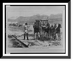 Historic Framed Print, Shooting buffaloes from an ambulance,  17-7/8" x 21-7/8"