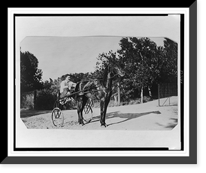 Historic Framed Print, [Edward Beale McLean on horse-drawn cart on the McLean estate, Clonmel, in Colorado],  17-7/8" x 21-7/8"