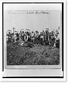 Black & White Photo - Buffalo - Geronimos last - Antique Wall Decor Print