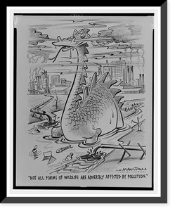 Historic Framed Print, Not all forms of wildlife are adversely affected by pollution"",  17-7/8" x 21-7/8"