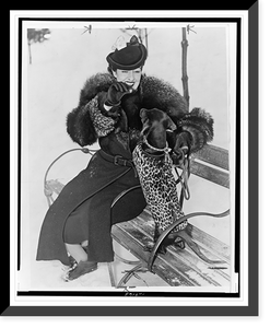 Alice Tully, full-length portrait, facing front, seated on a park bench, teasing dog with a treat, in snow Classic, Vintage Wall Art