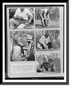 5 photographs of man, Balocca, on lawn at the home of Theodore Roosevelt, Jr. and Eleanor Butler Roosevelt, with raccoon and pigeon, Oyster Bay, Long Island(?), Antique Print