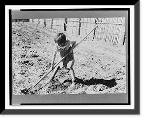 Josie Caudill helping set out cabbage plants, Pie Town, New Mexico Classic, Vintage Poster