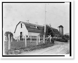 Historic Industry - Barns & Farms - Dairy barn at Moatview Farm