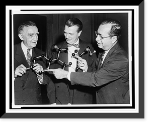 (l to r) Sen. Joseph O'Mahoney, Dr. Floyd S. Daft, and Dr. Joseph J. Bunim, half-length portrait, holding a wooden model of the molecular structure of cortisone Classic, Vintage Print