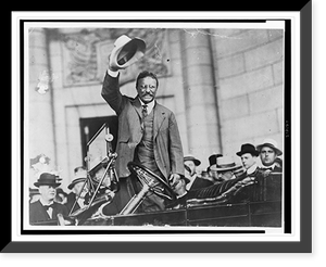 Vintage Portrait - Theodore Roosevelt, three-quarter length portrait (2)