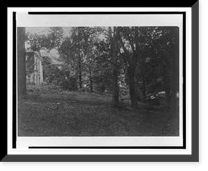 Zoo - 2 Classic, Vintage Print